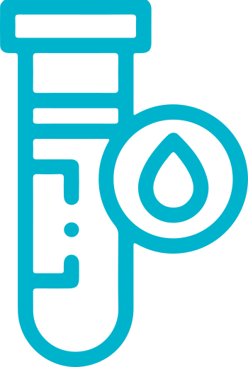 estudios